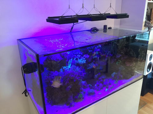 Abdeckung Meerwasser Aquarim aus Glas