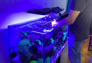 The new silent NYOS skimmer! – I LOVE REEFING